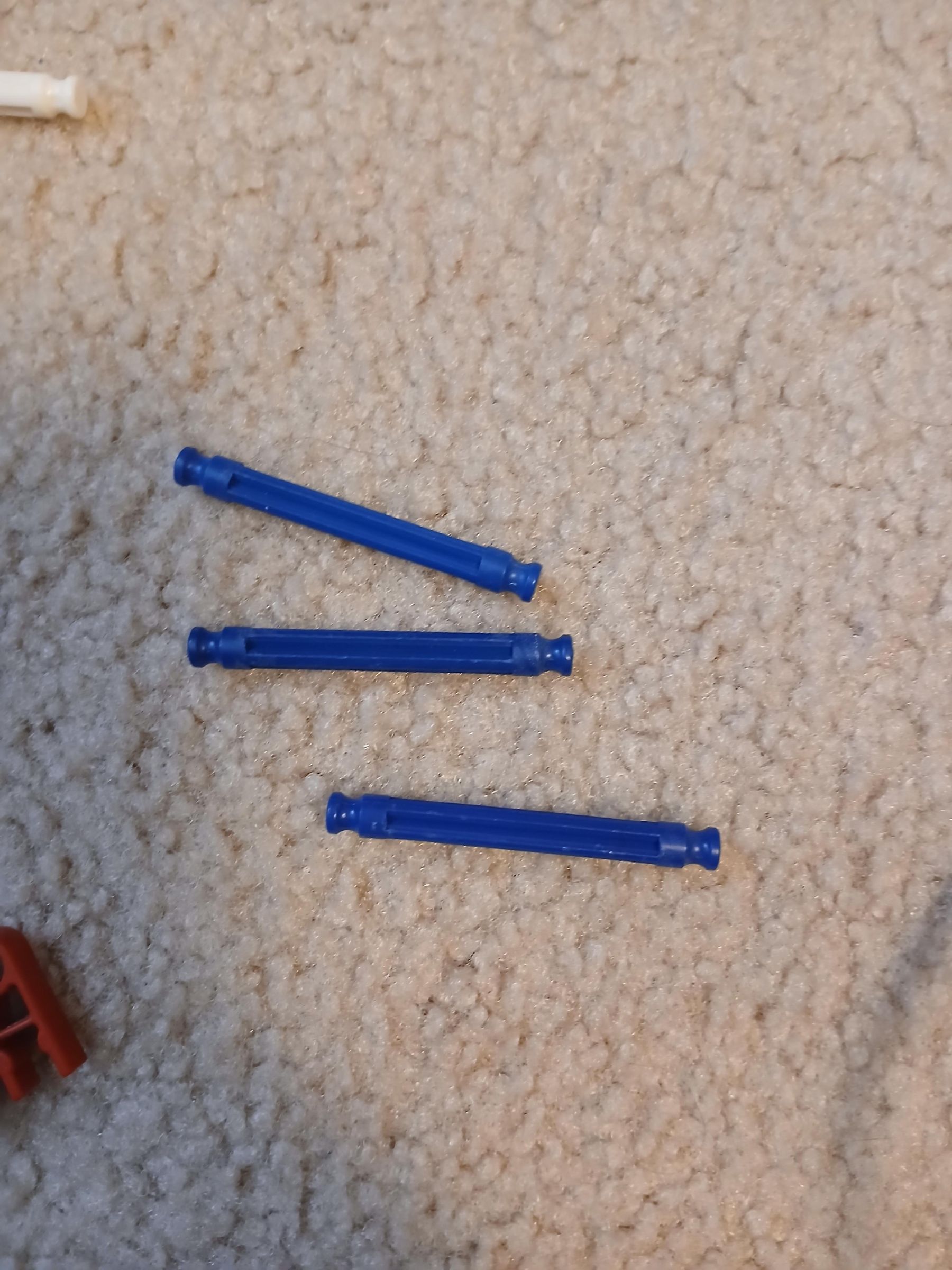 20250619_100524.jpg