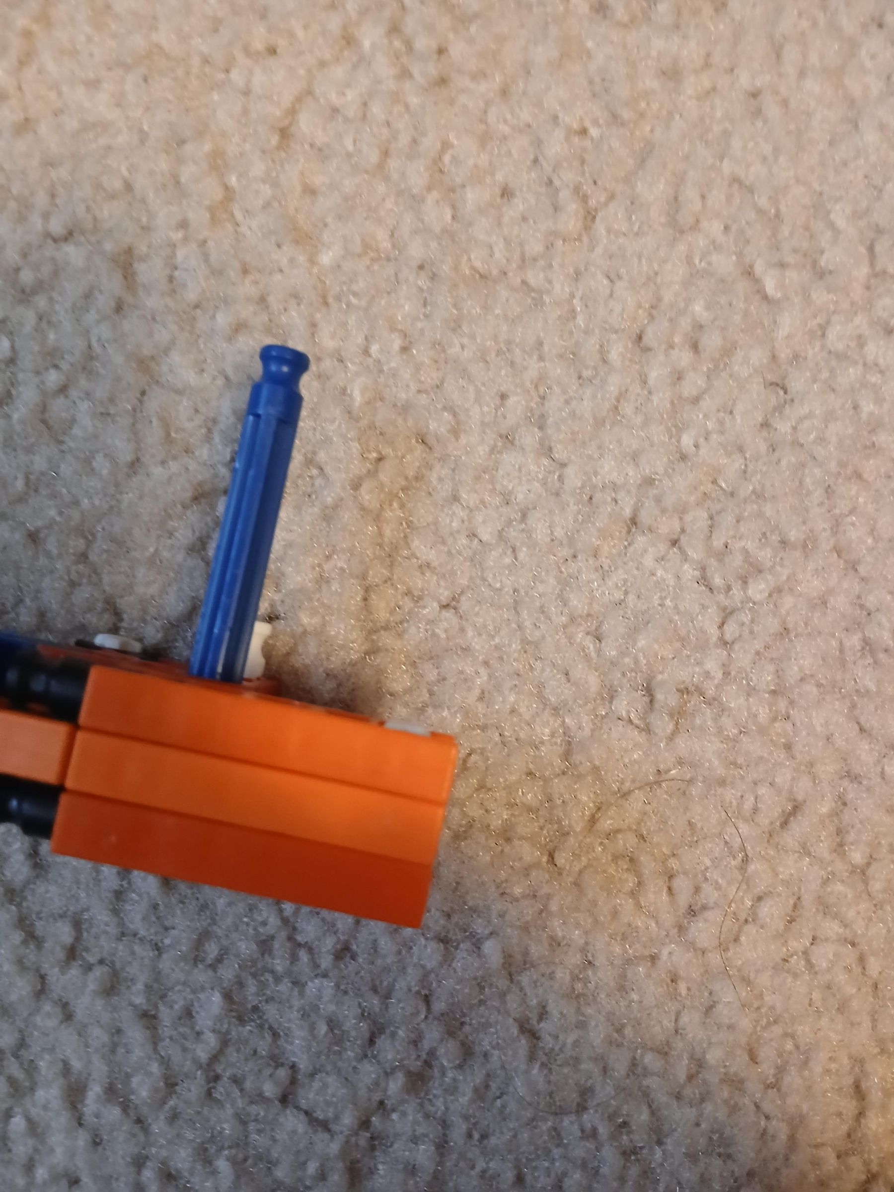 20250619_101826.jpg