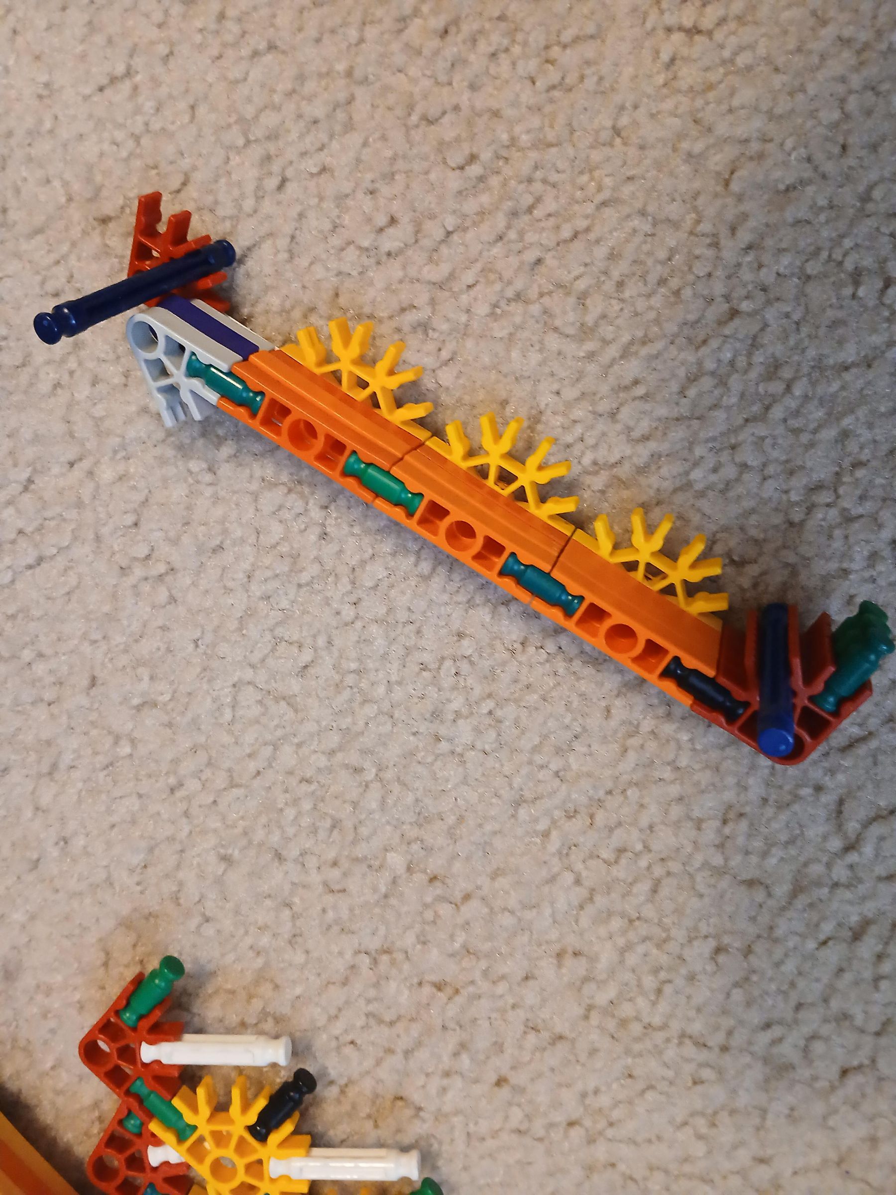20250619_103545.jpg