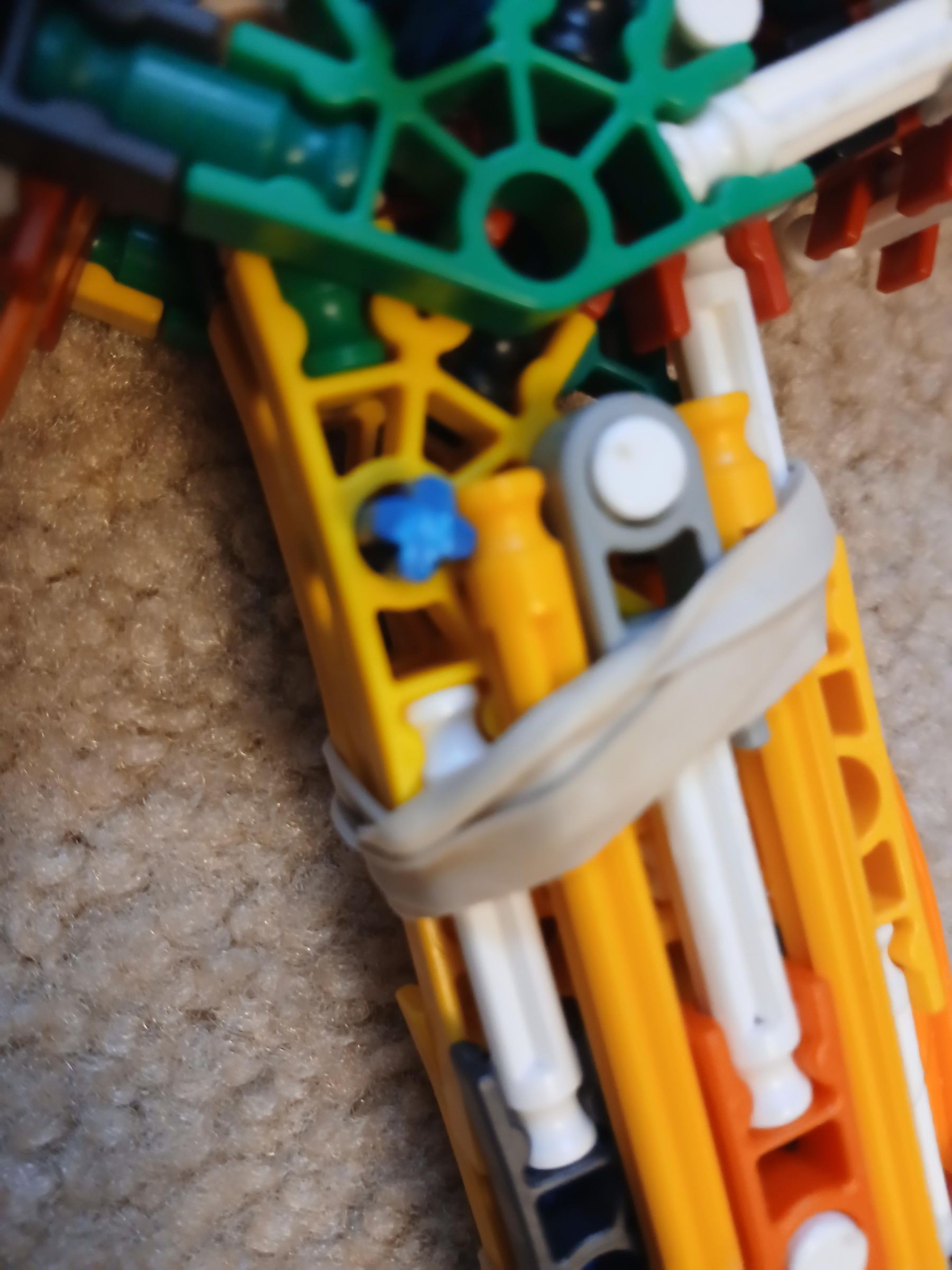 20250619_112955.jpg
