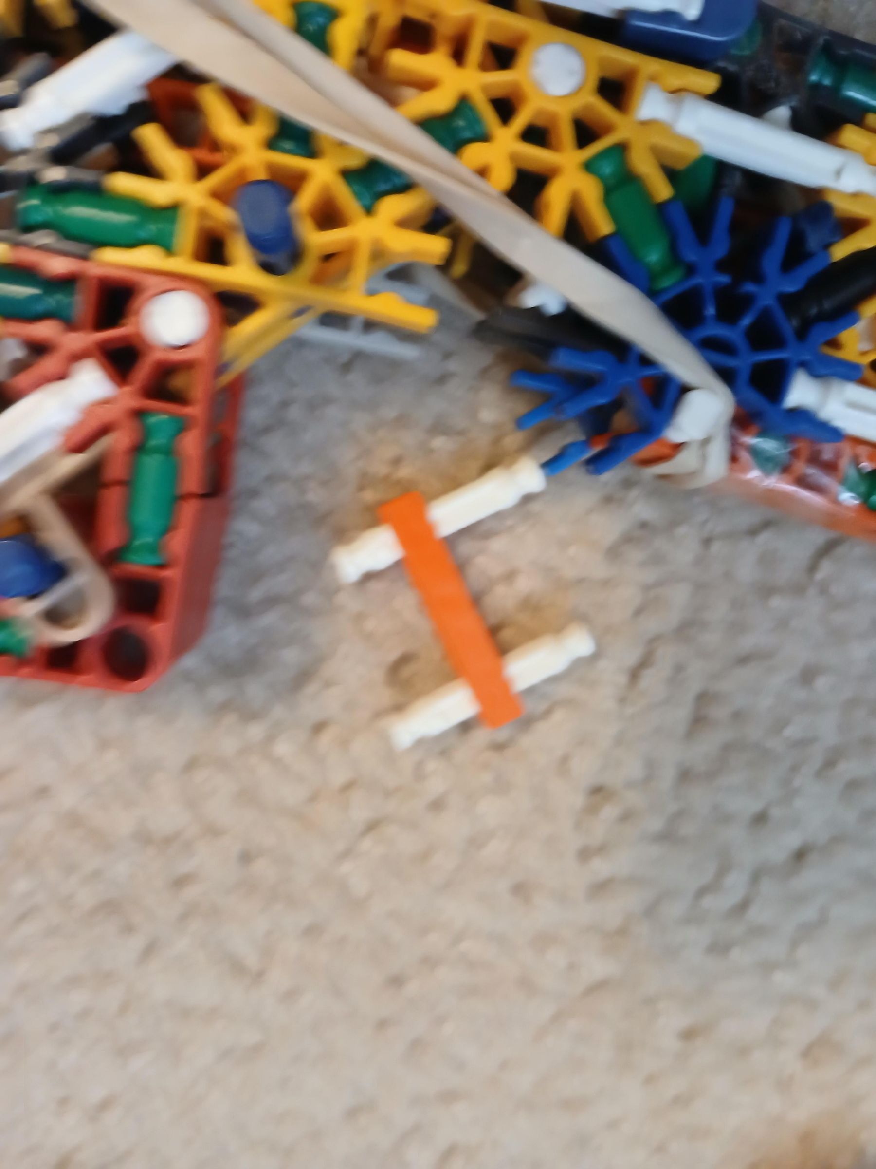20250619_113120.jpg