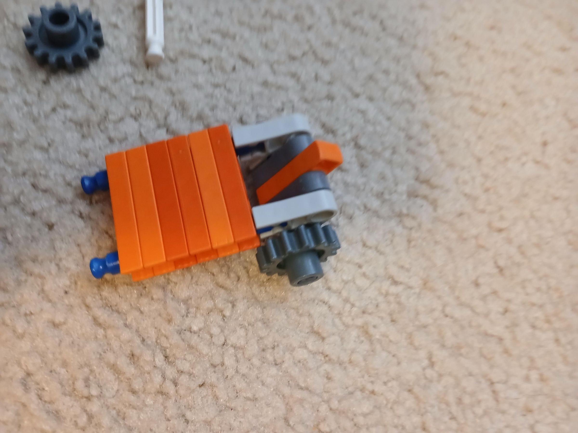 20250619_113223.jpg