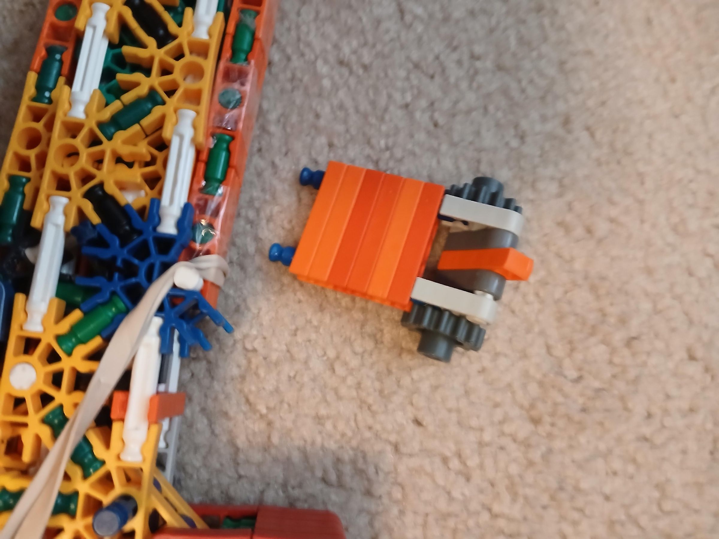 20250619_113258.jpg