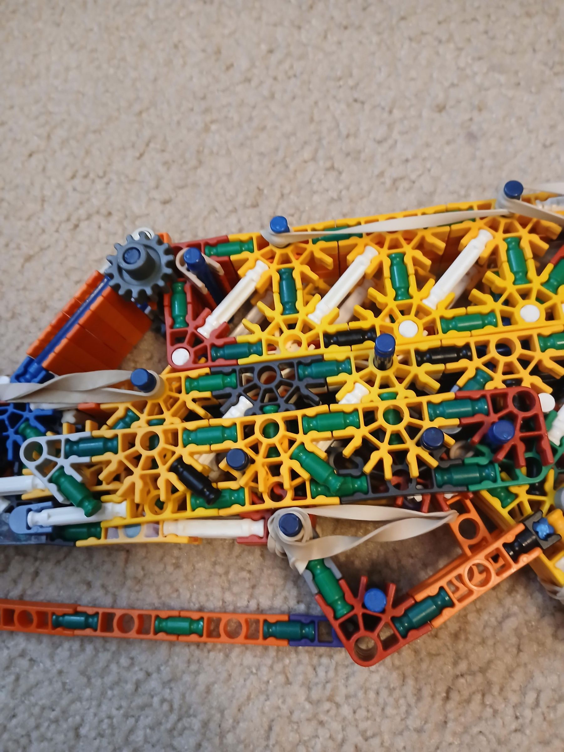 20250619_114436.jpg