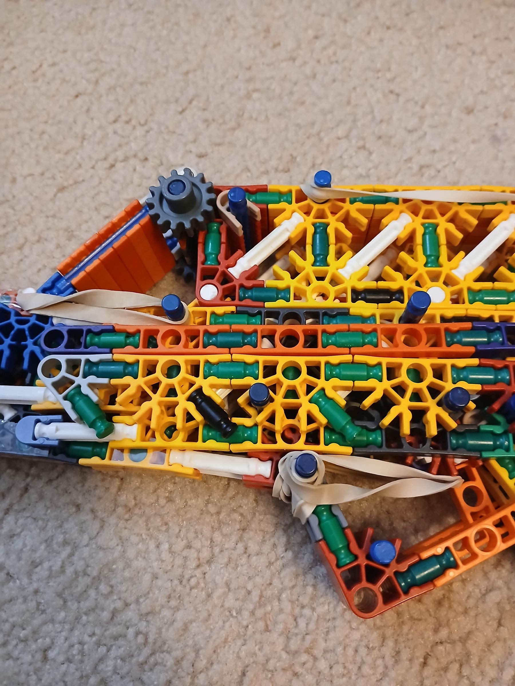 20250619_114444.jpg