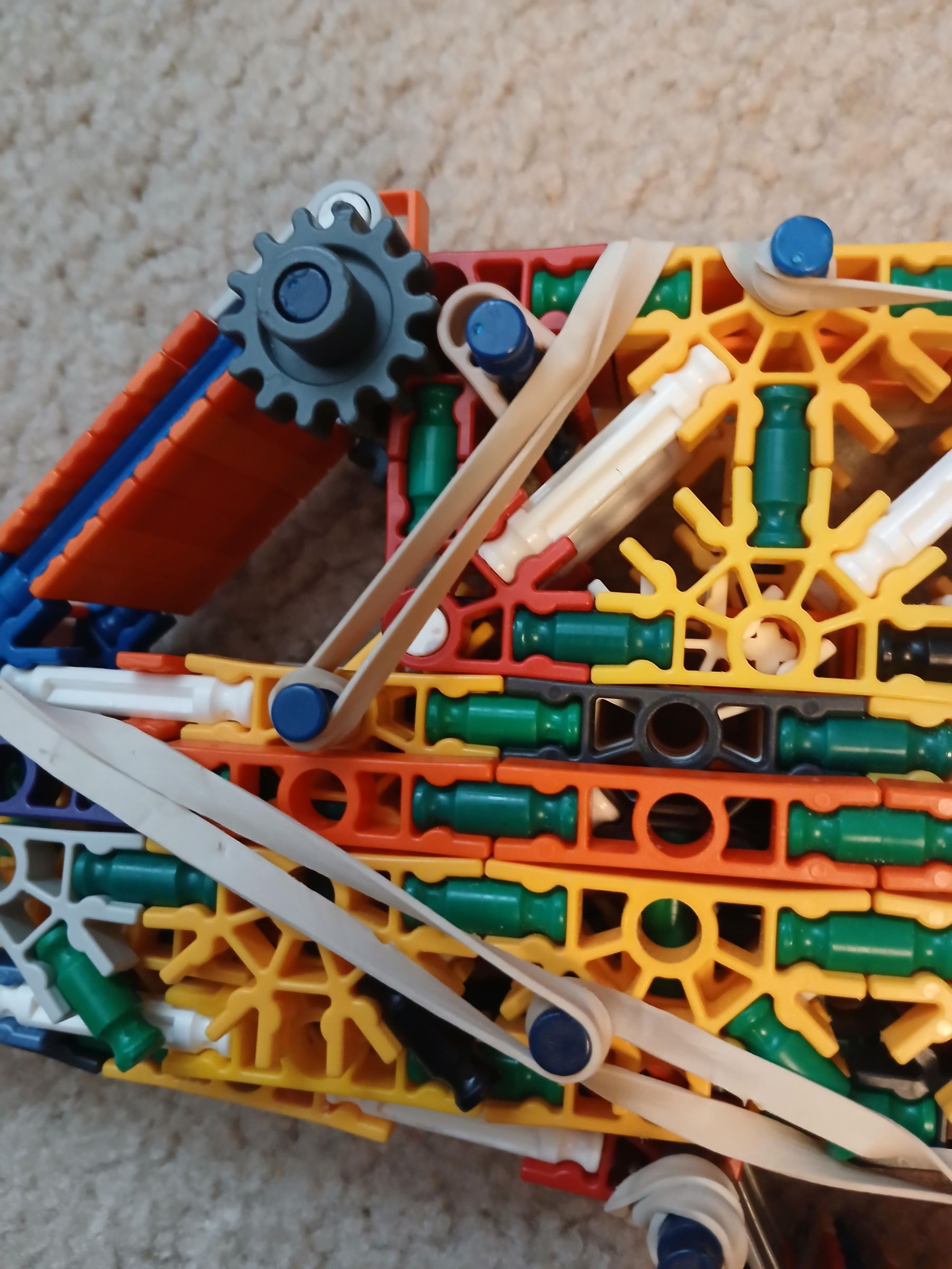 20250619_114513.jpg