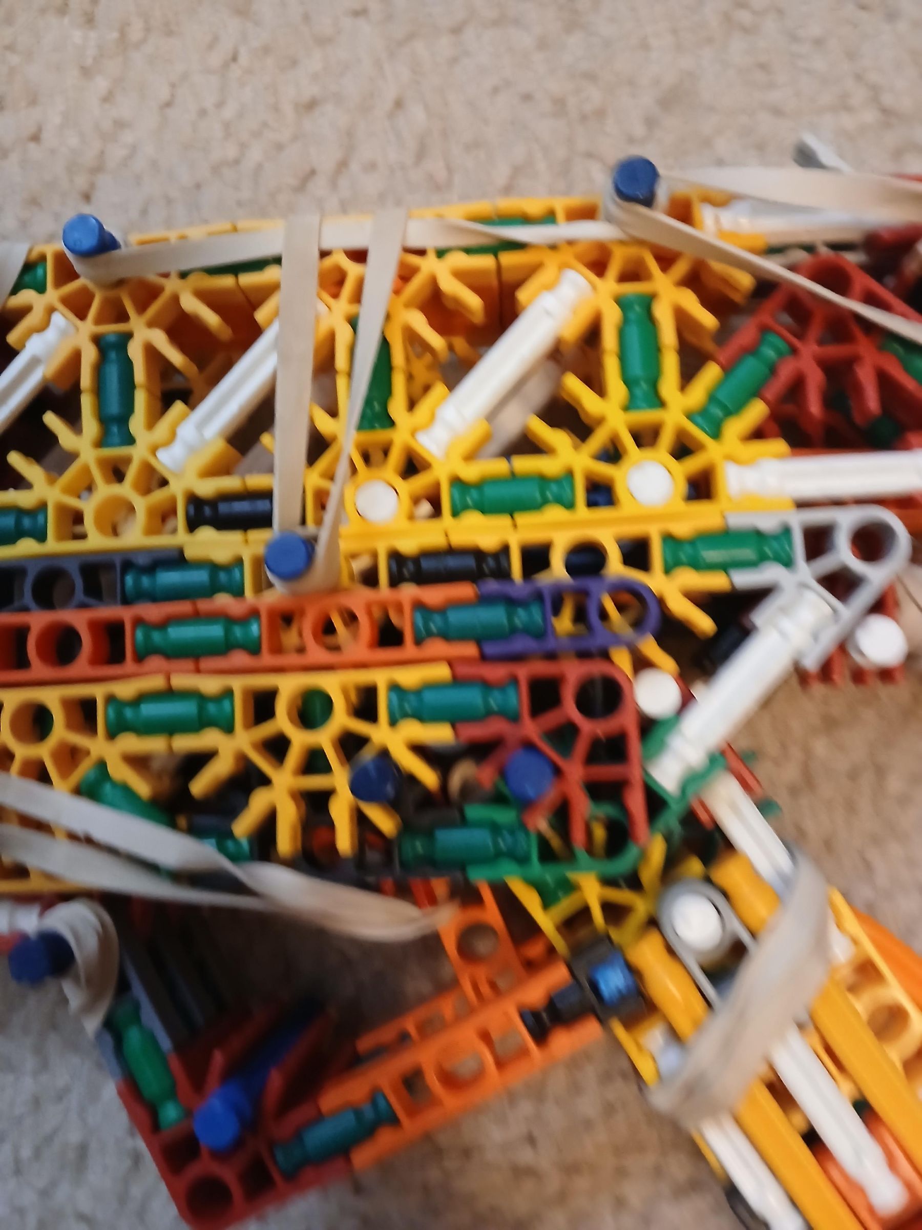 20250619_114540.jpg