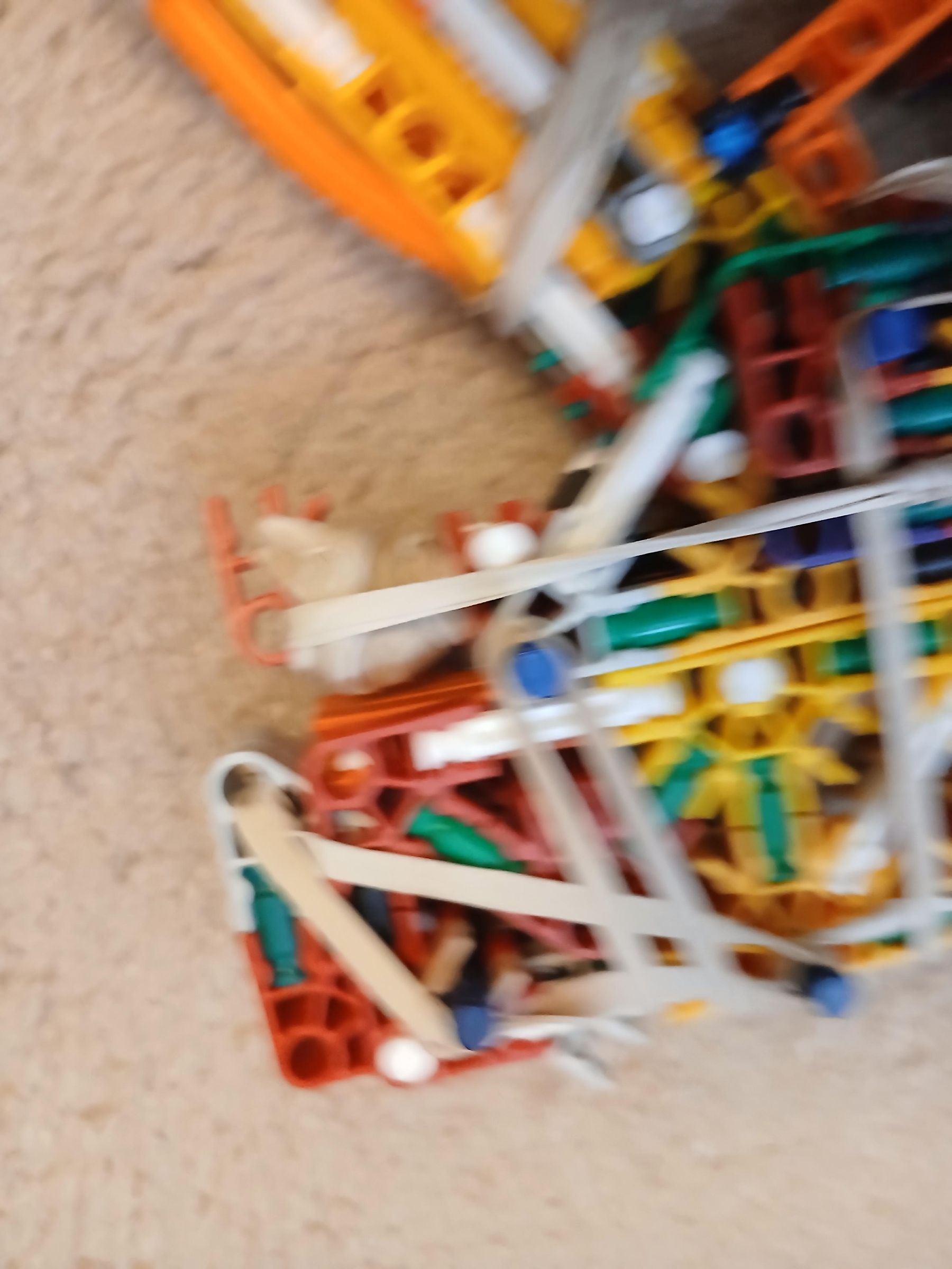 20250619_114709.jpg