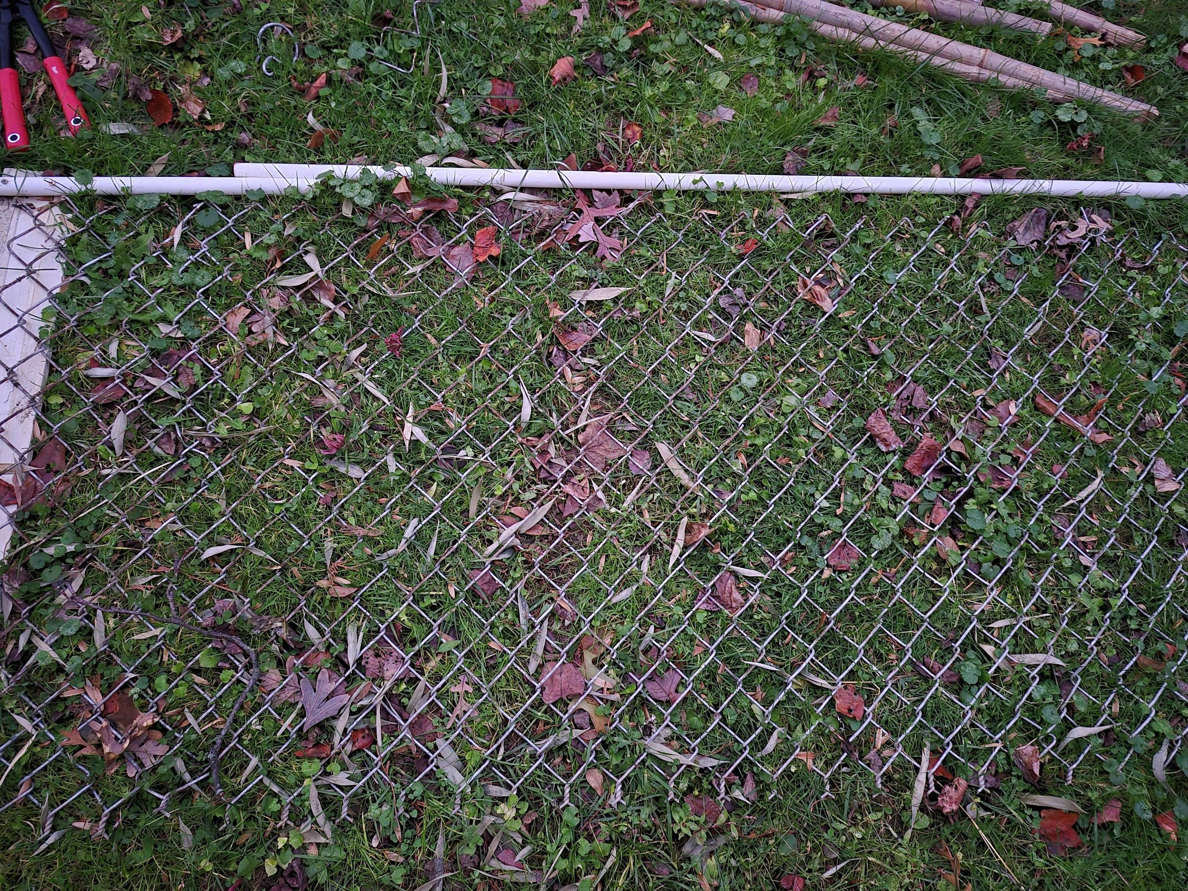 20251122_170150.jpg