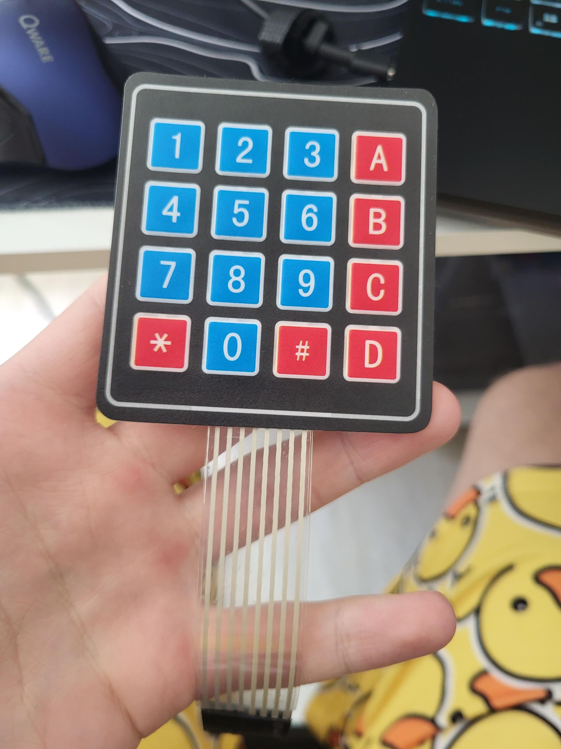 20260614_151546.jpg