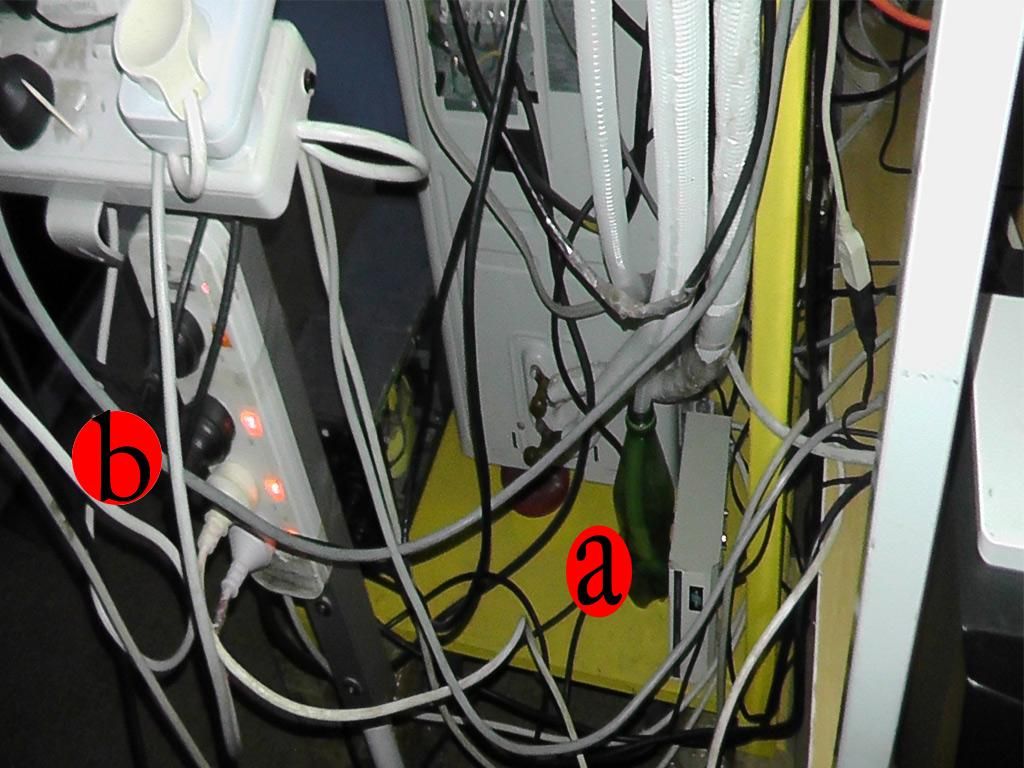 21.jpg