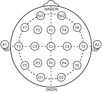 21_electrodes_of_International_10-20_system_for_EEG.svg.png