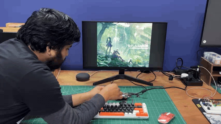 24.gif