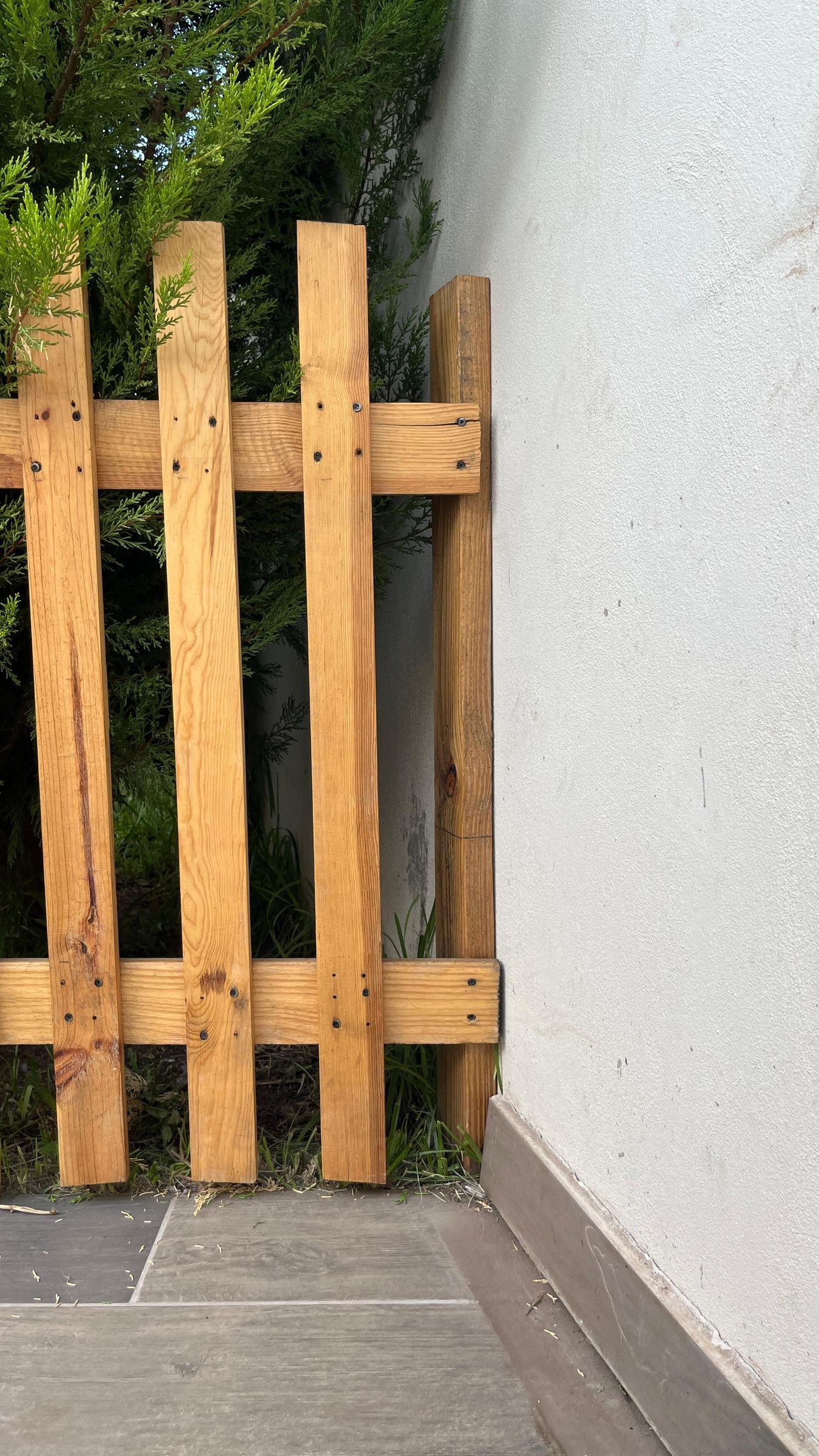 25. termiando pared fija.jpeg