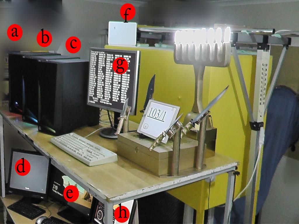 25.jpg