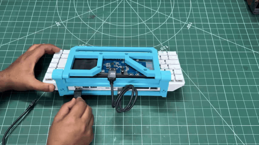 29.gif
