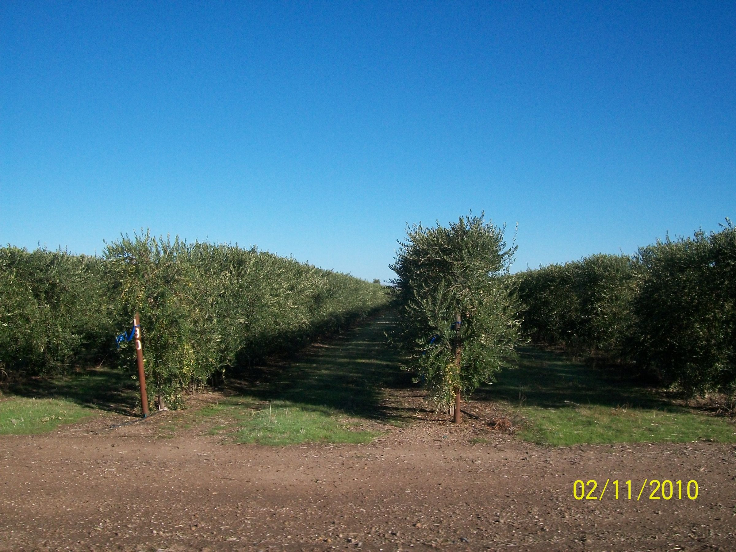 2nov2010 001.JPG