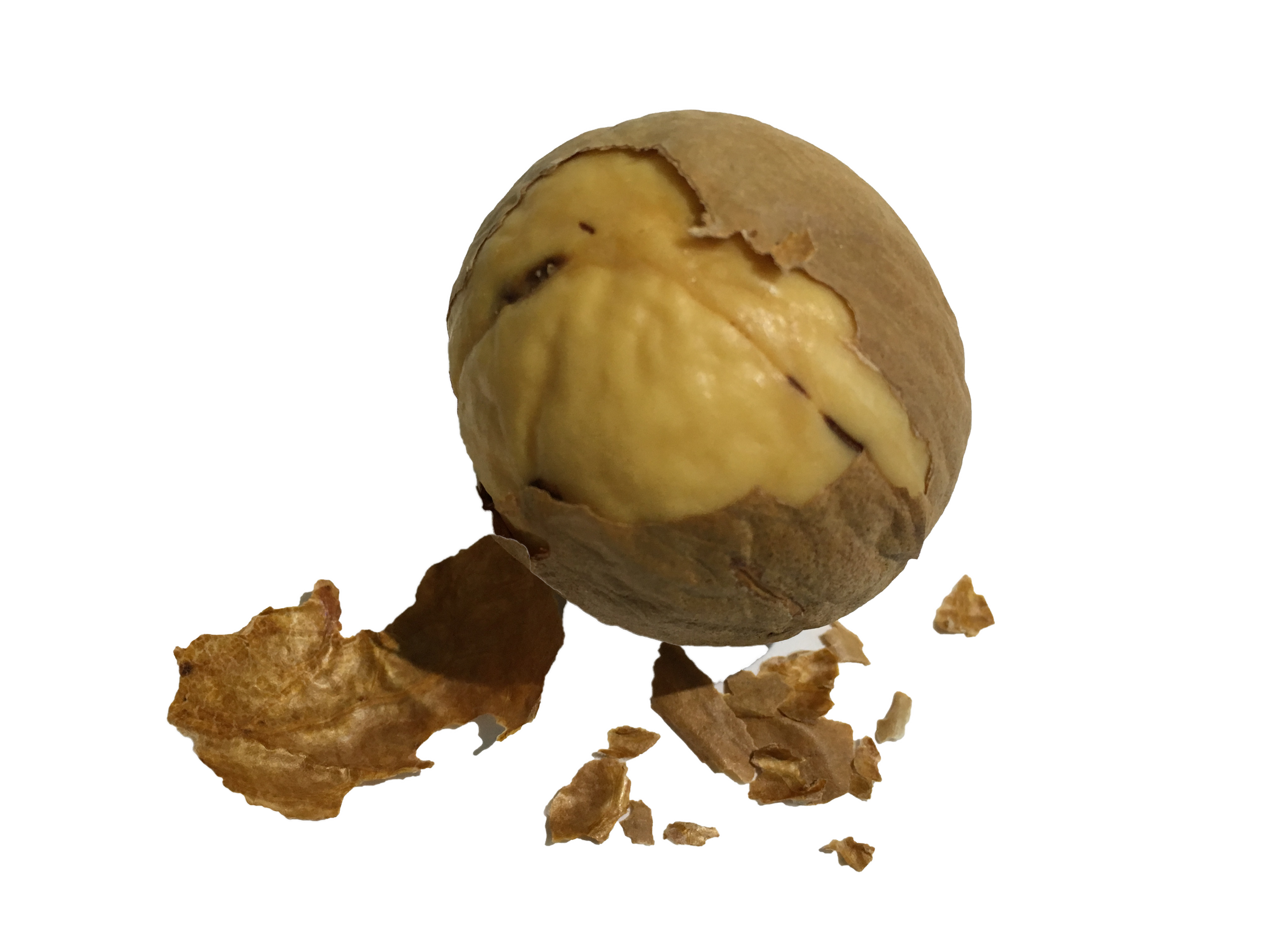 3.png