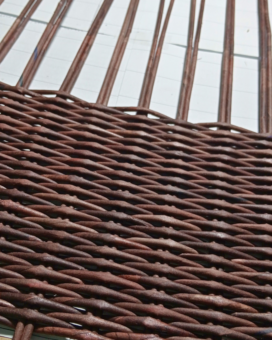 43.png