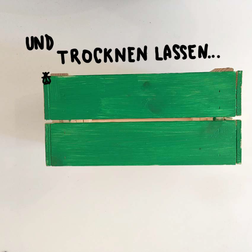 5.1.jpg