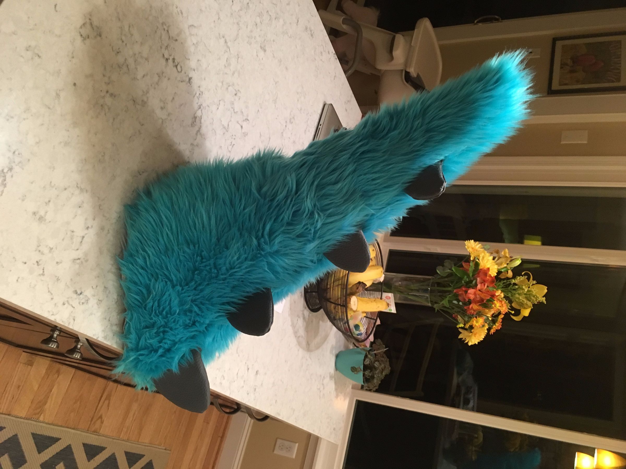 53 - Fur.JPG