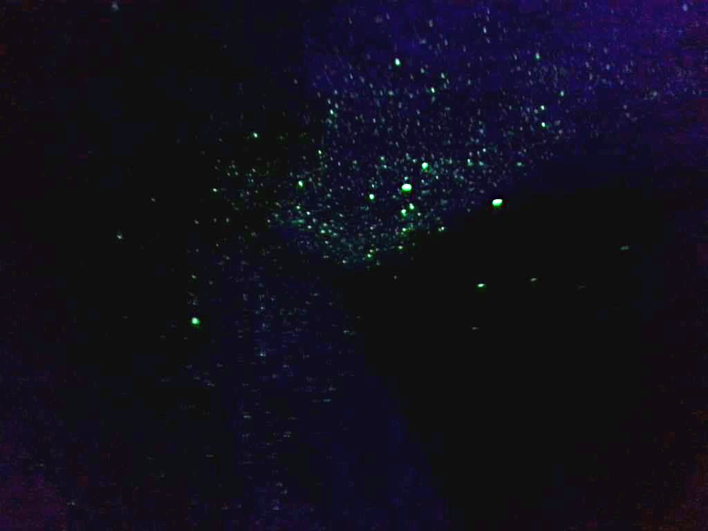 53e29a6126ece2055300006e.jpeg
