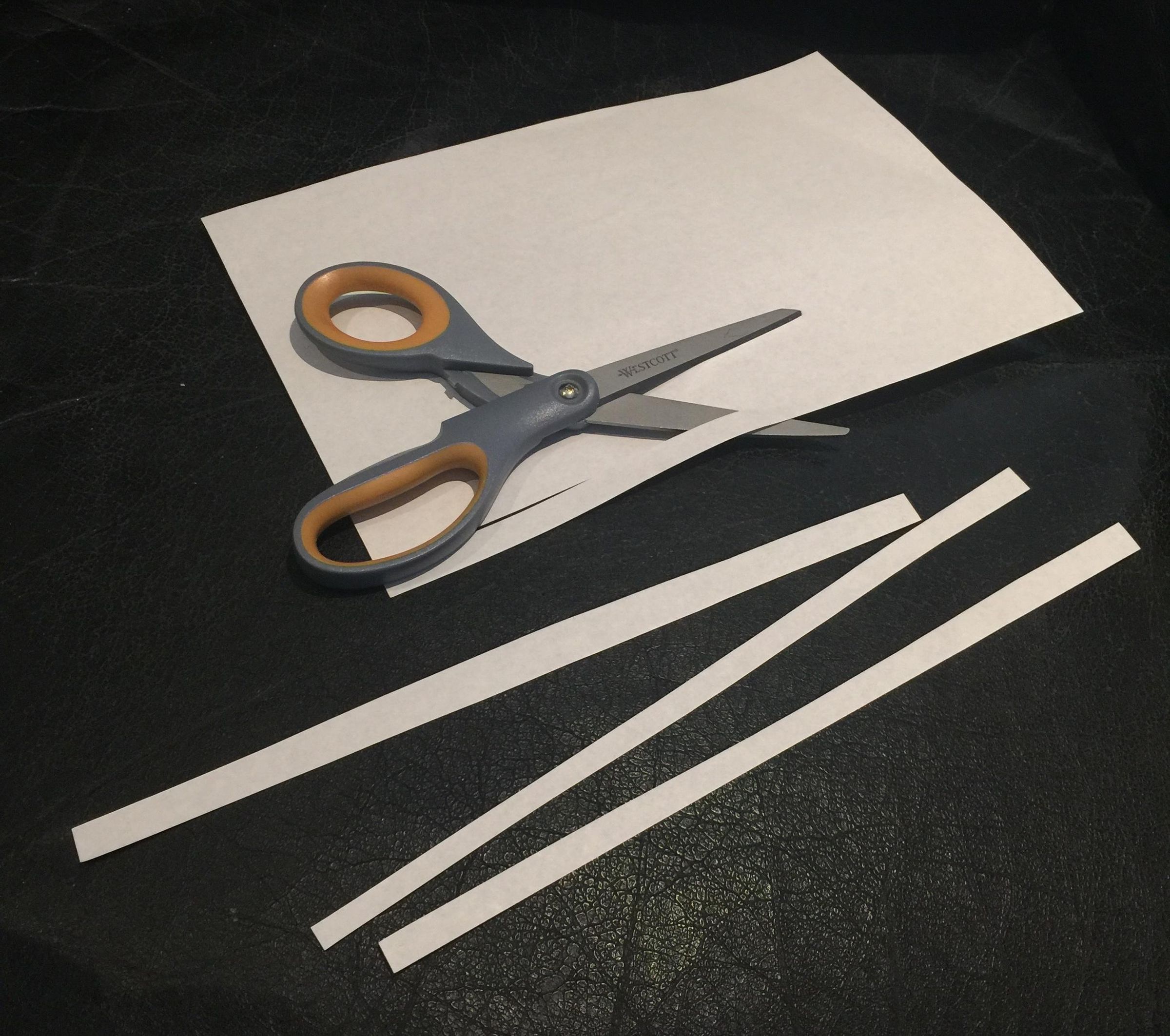 5PaperStrips.JPG