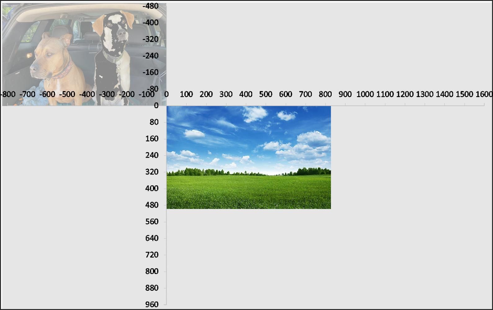 5c Hidden photo.jpg