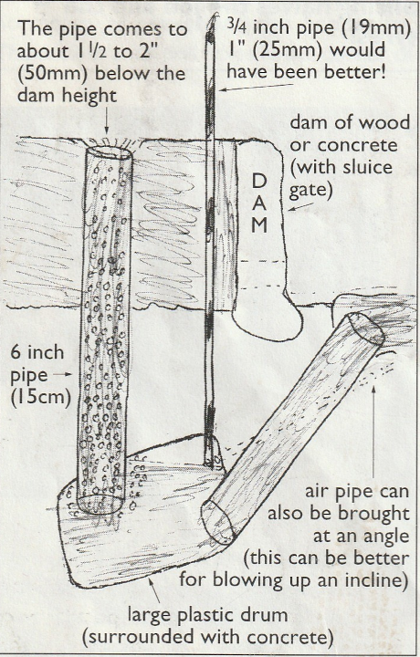 6 inch pulser pump.png