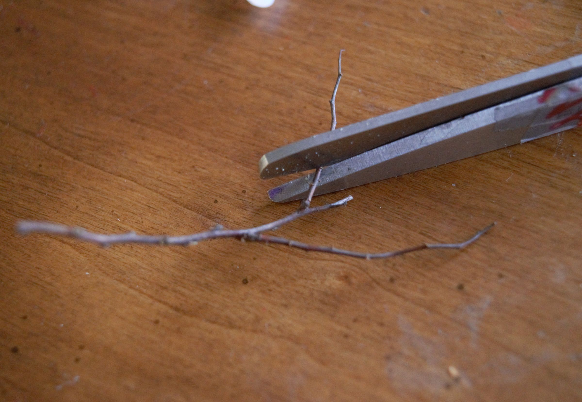 6a twig arms.jpg
