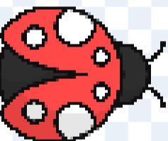 9.png