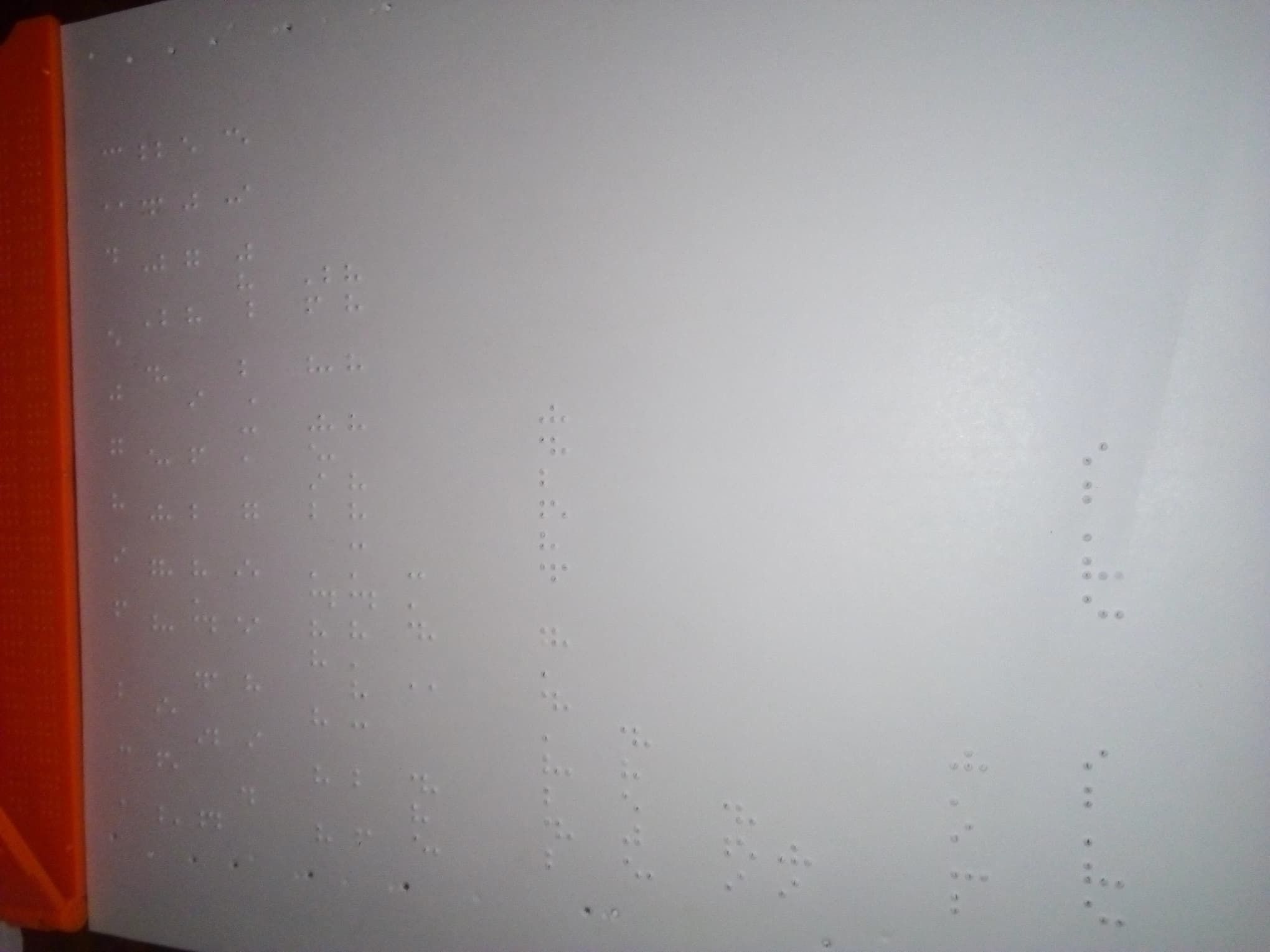 92128821_311618706480237_5471655126693314560_n.jpg