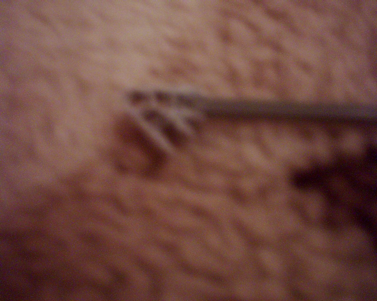 Afbeelding 005.jpg
