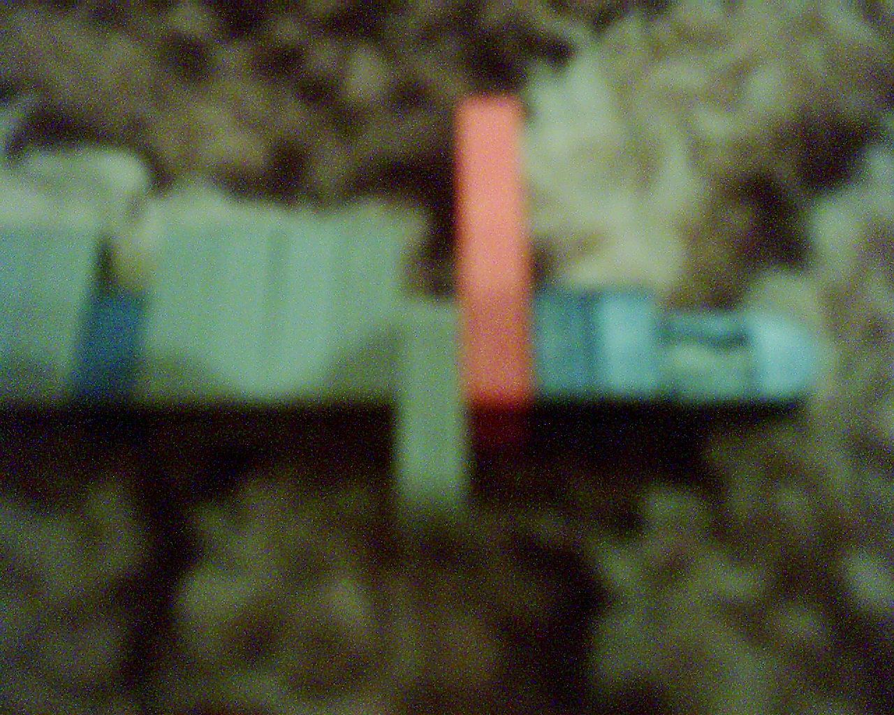 Afbeelding 009.jpg