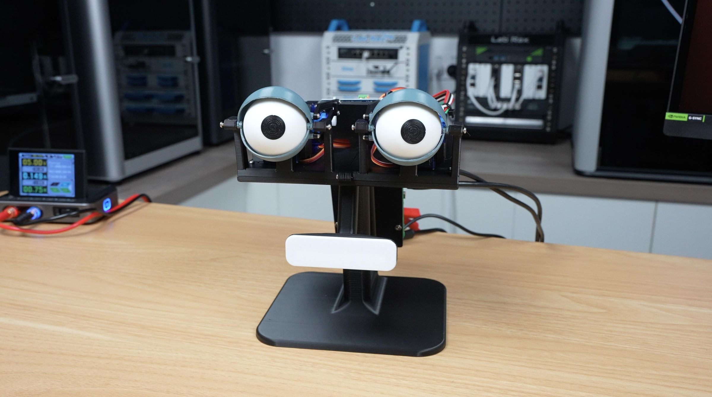 Animatronic Eyes Moving.jpeg
