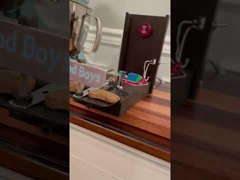 Automatic "Alexa" enabled dog-treat dispenser