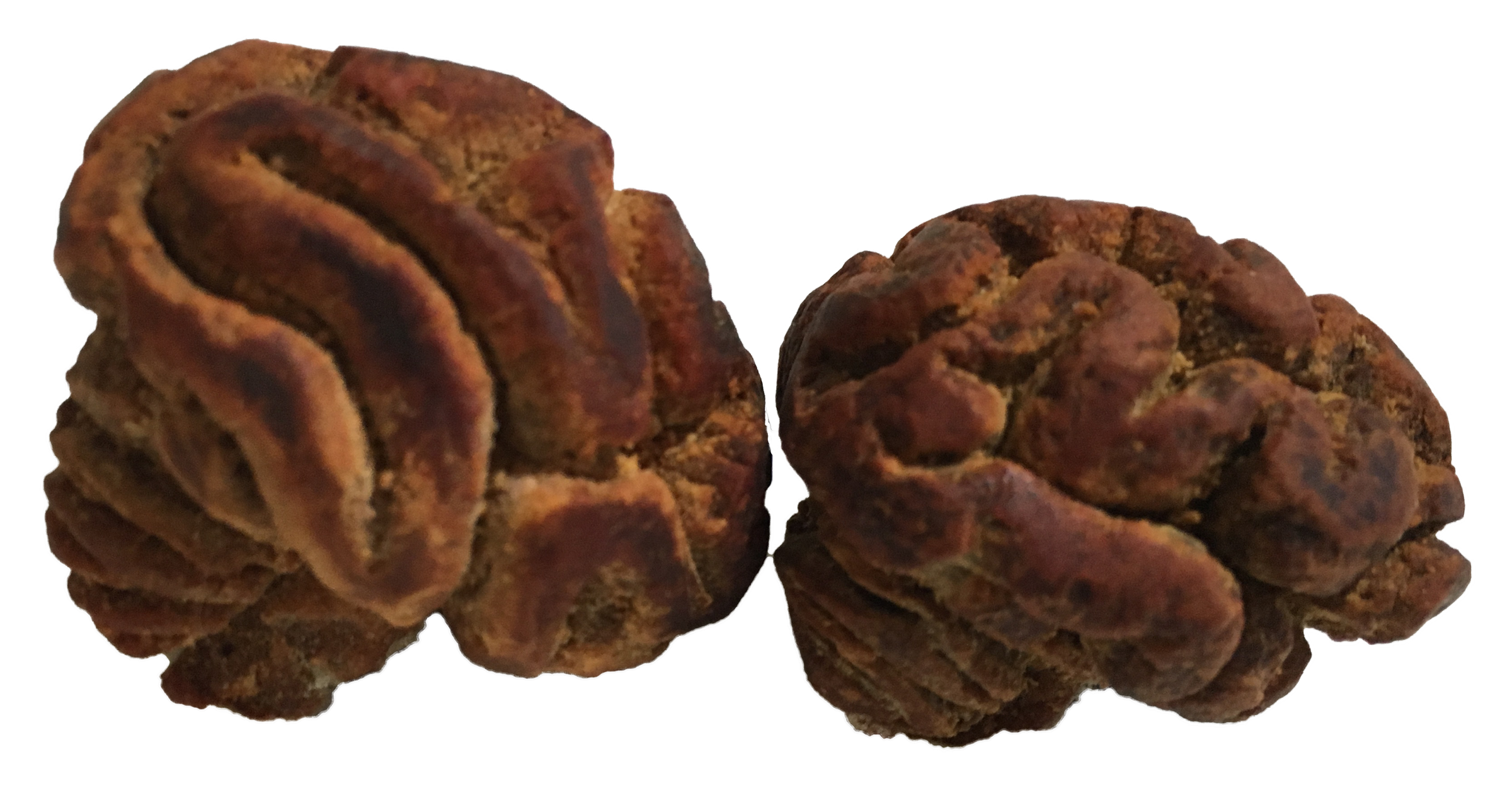 Avo10.png