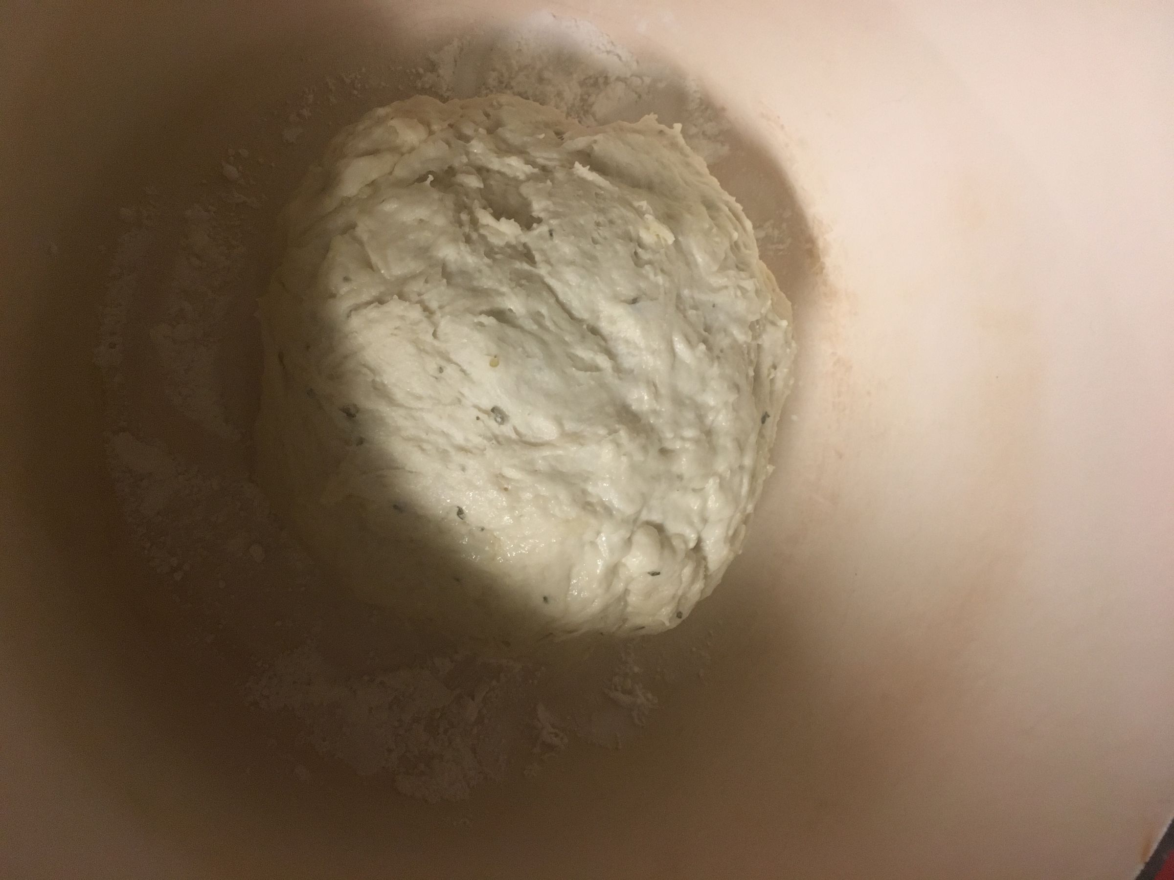 B2C8A766-567D-41F7-891A-0CFEB68AF074.jpeg