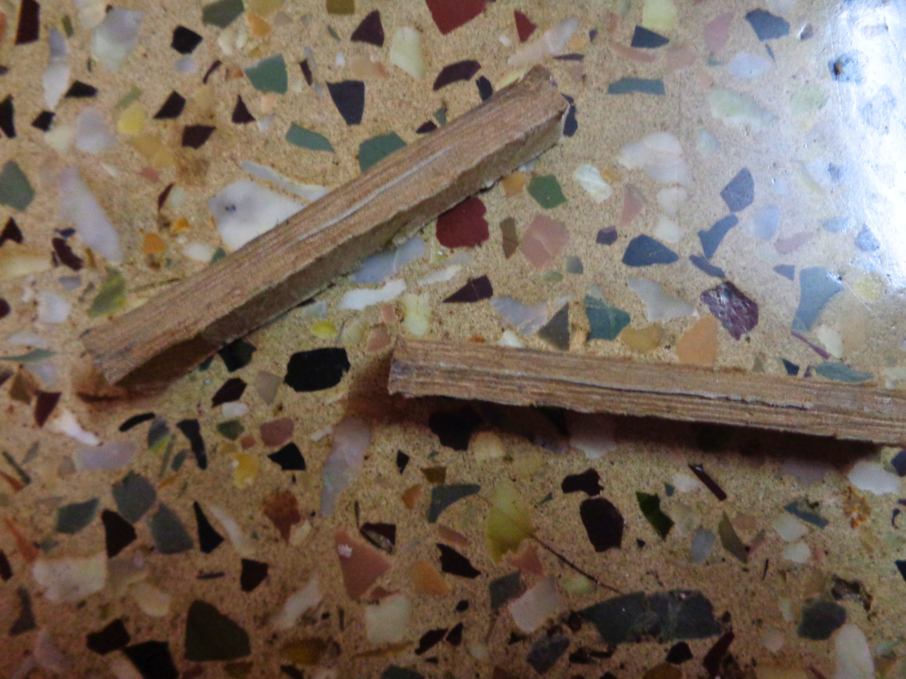 BAse 2 Pieces (45).png