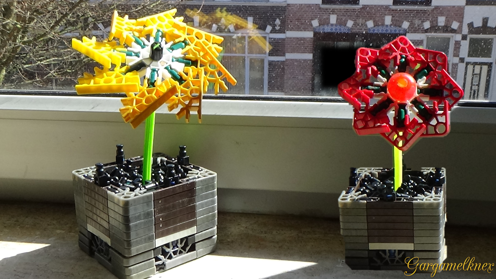 BLOEMEN.png