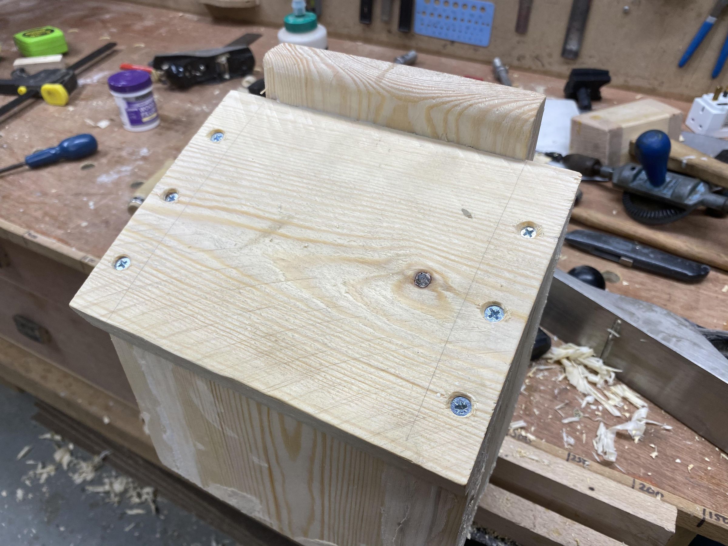 Bat box 38.jpeg