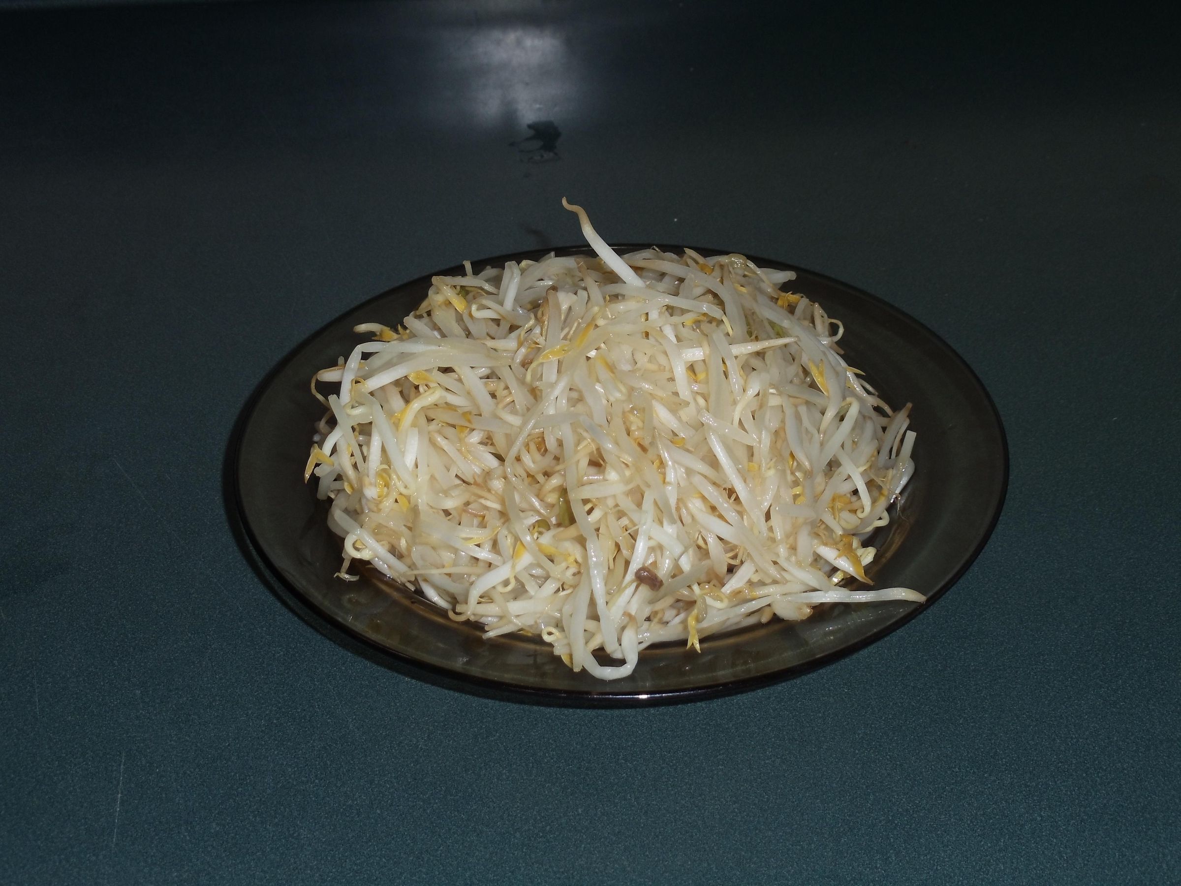 Bean Sprouts 10.JPG