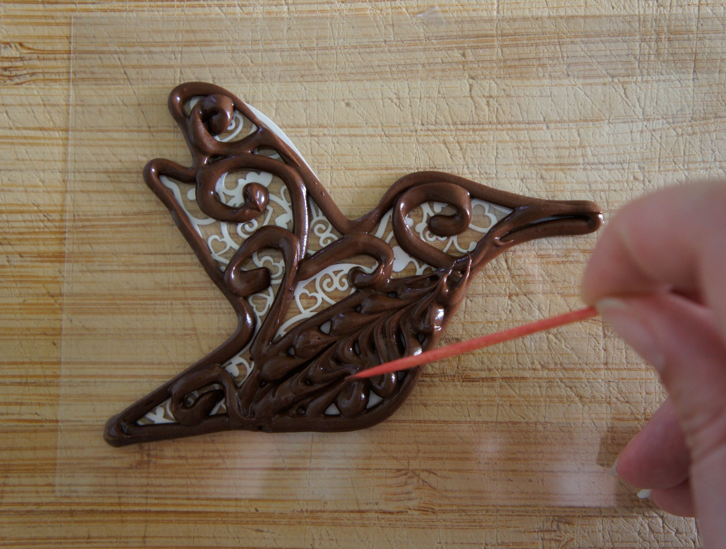 Belly of chocolate hummingbird.jpg