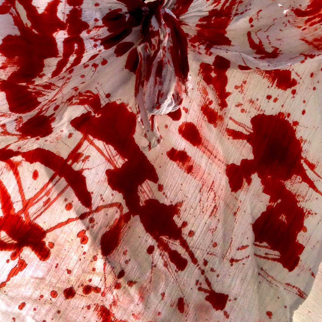 BloodShirt3.jpg