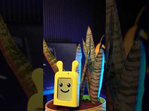 Bloom Buddy #Unihiker #DFRobot #NextPCB