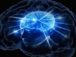 BrainBrainMemeGIF.gif