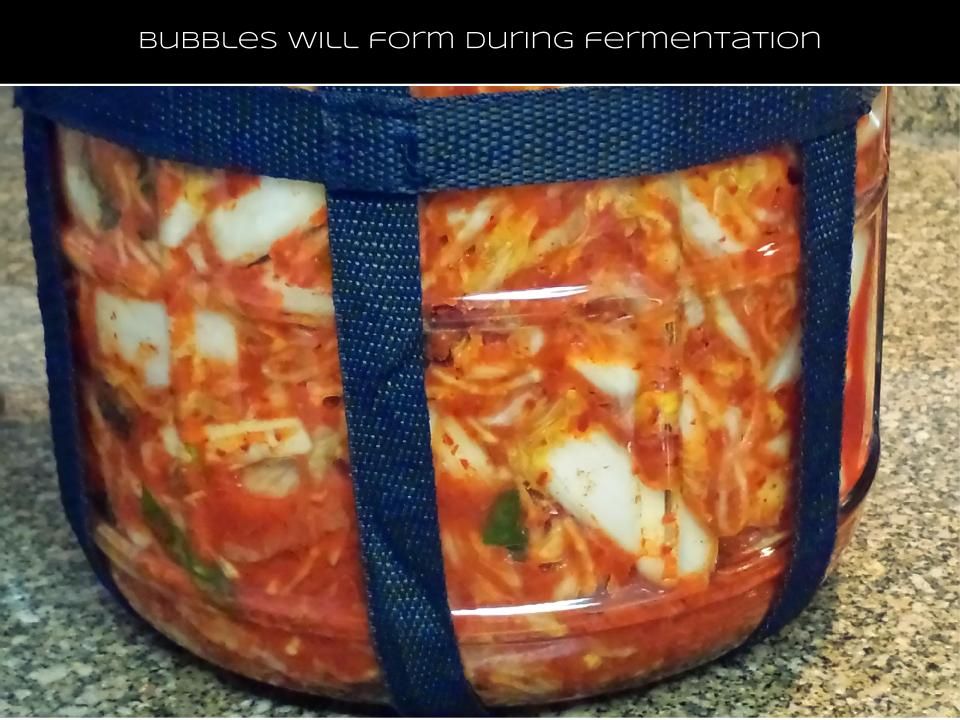 Bubbles.jpg