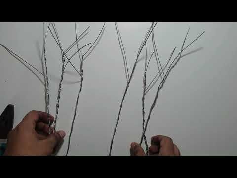 Build the Tree Frame