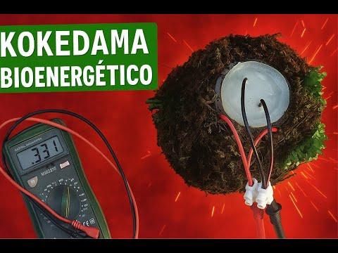 C&oacute;mo Hacer un Kokedama Bioenerg&eacute;tico: &iexcl;Crea Electricidad con Plantas y Bacterias!