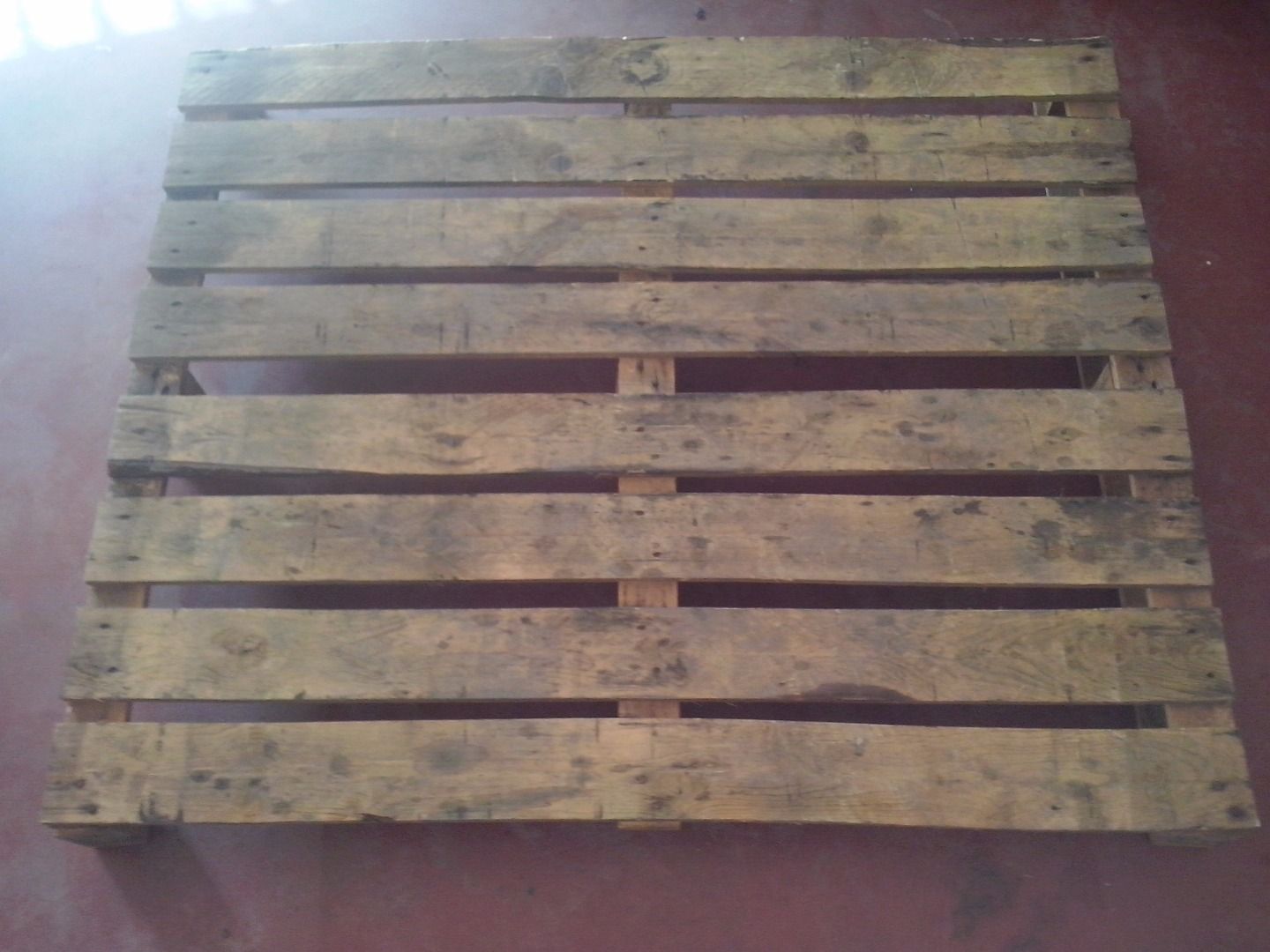 CAM01316.jpg